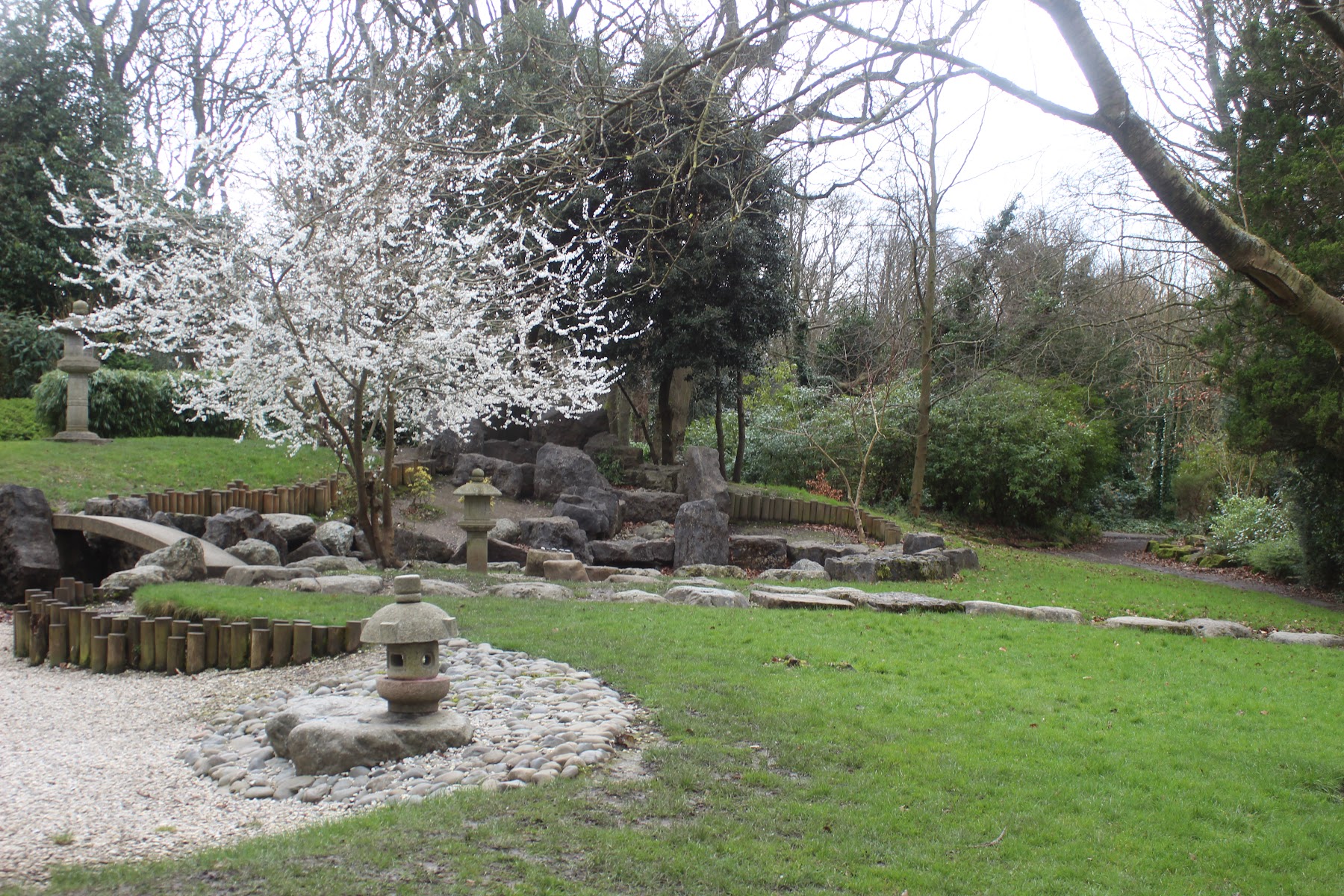 Japanese Garden