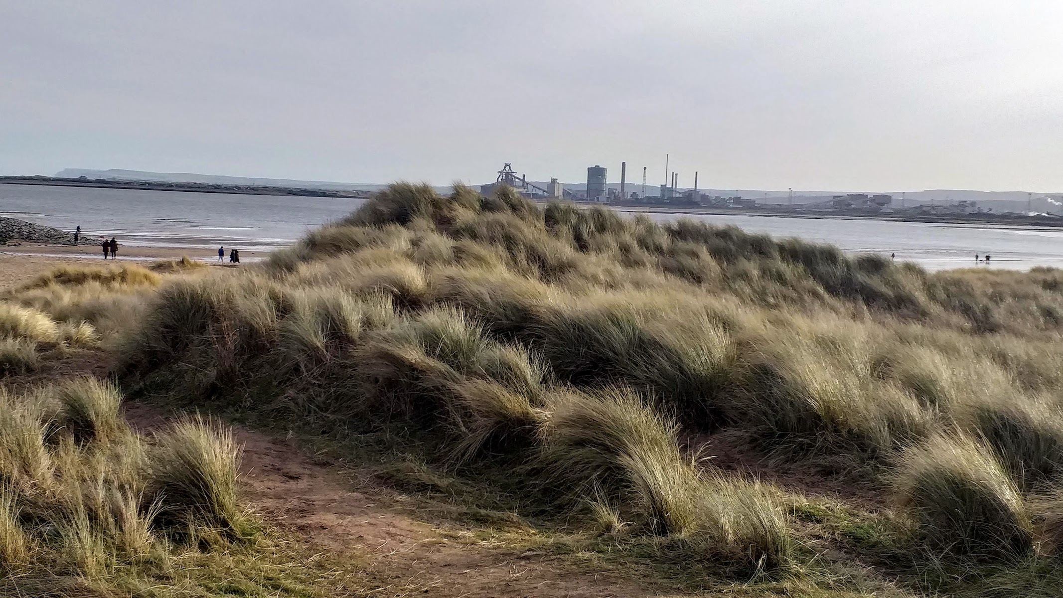 Teesmouth National Nature Reserve