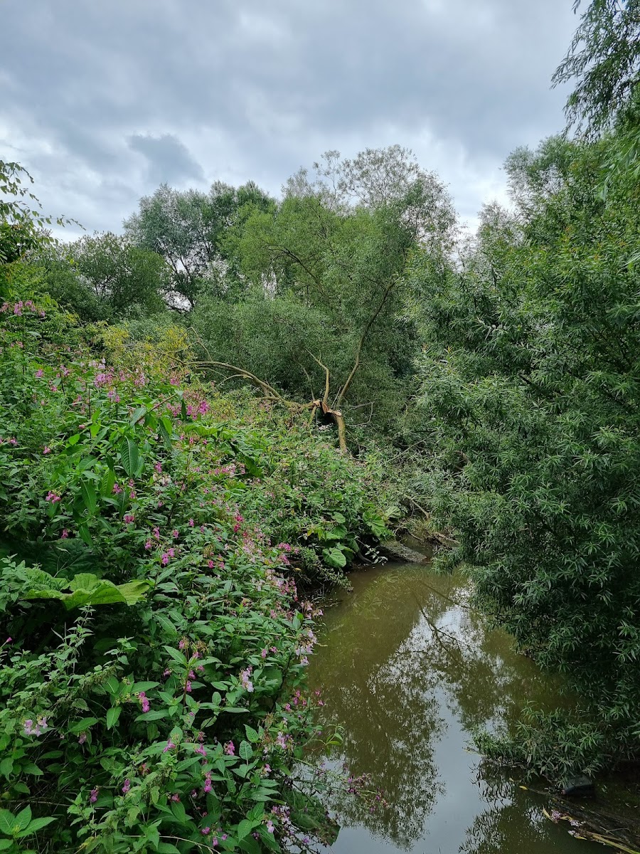 Billingham Beck Valley Country Park