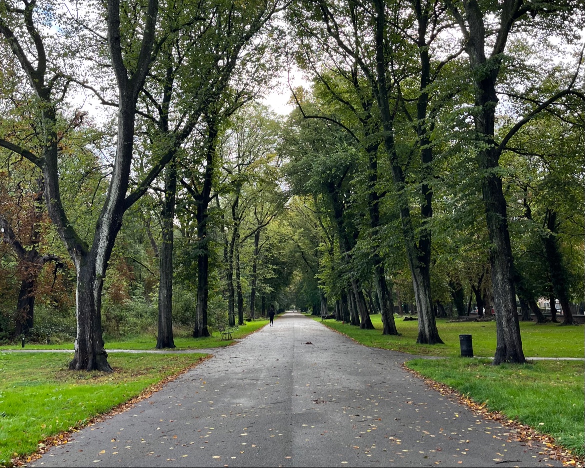 Alexandra Park