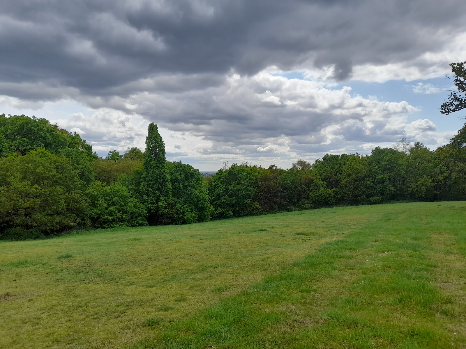Mill Hill Park & Gardens
