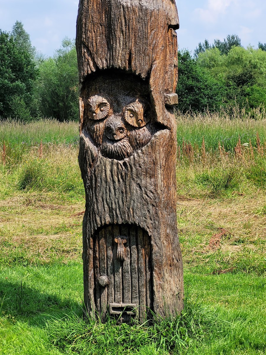 Low Hall Nature Reserve