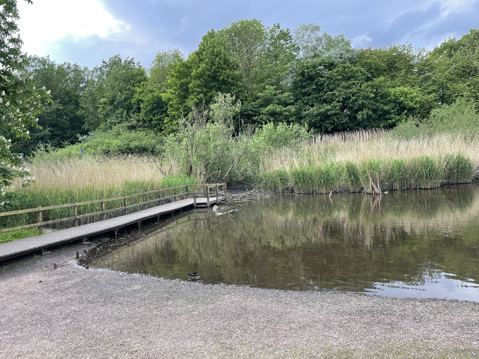 Woolston Park