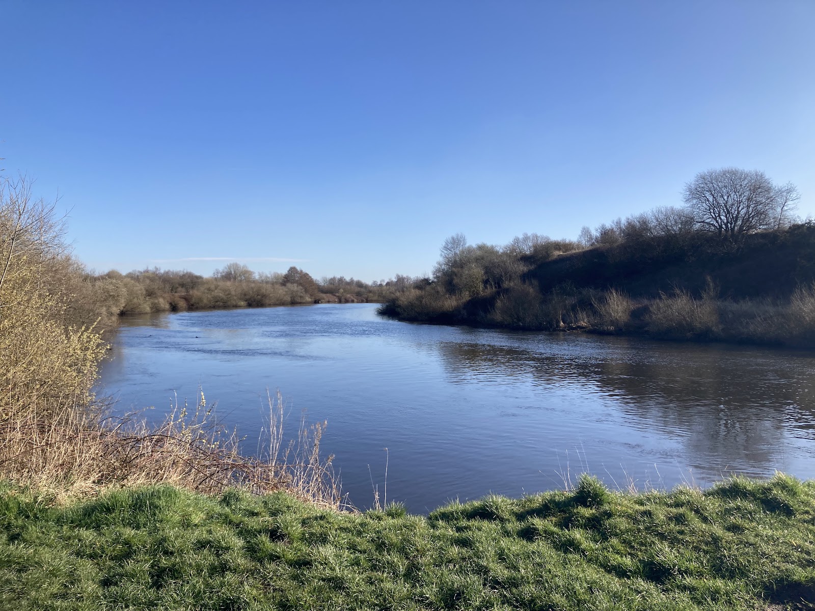 Paddington Meadows
