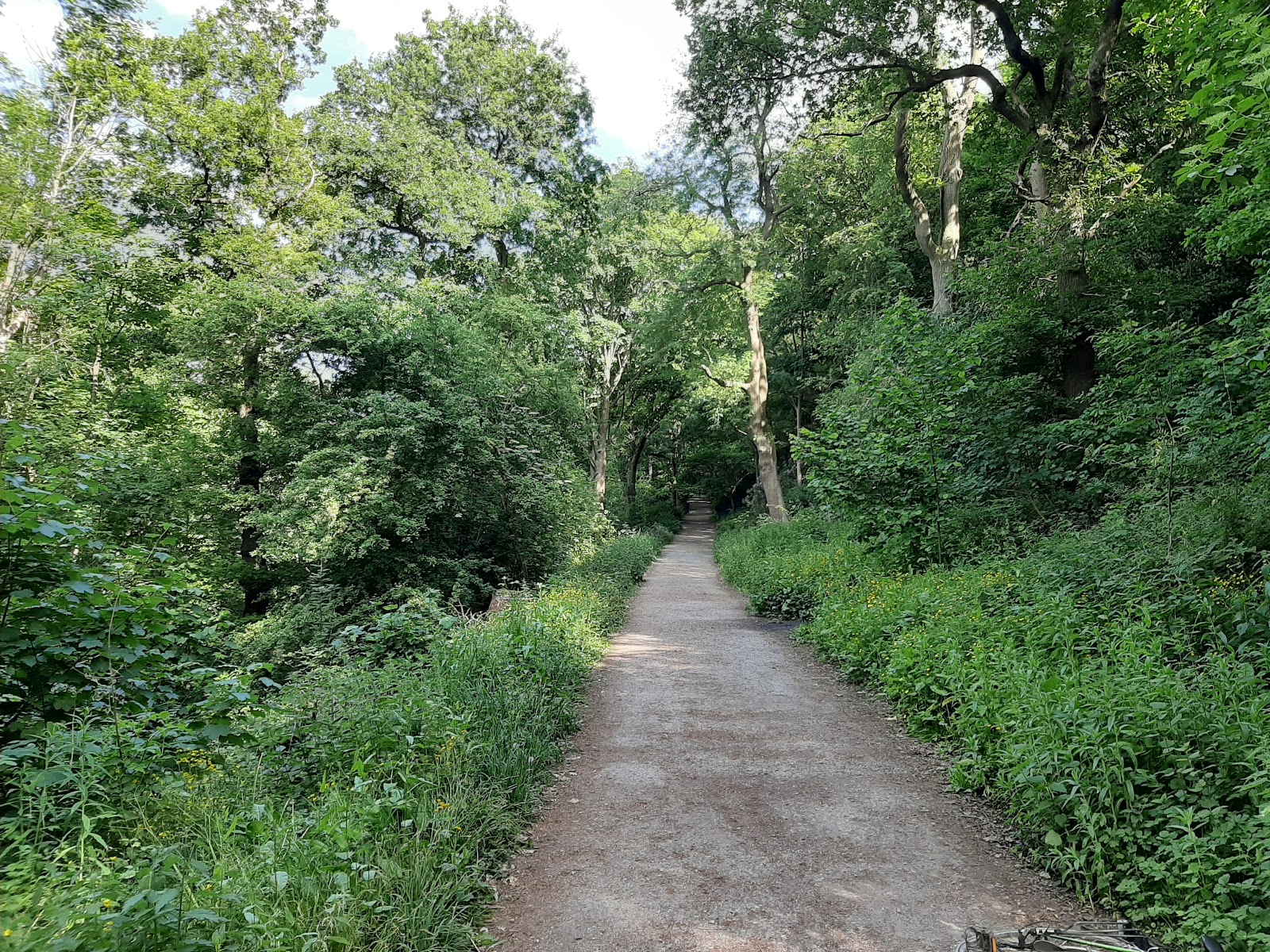 Woodhouse Ridge