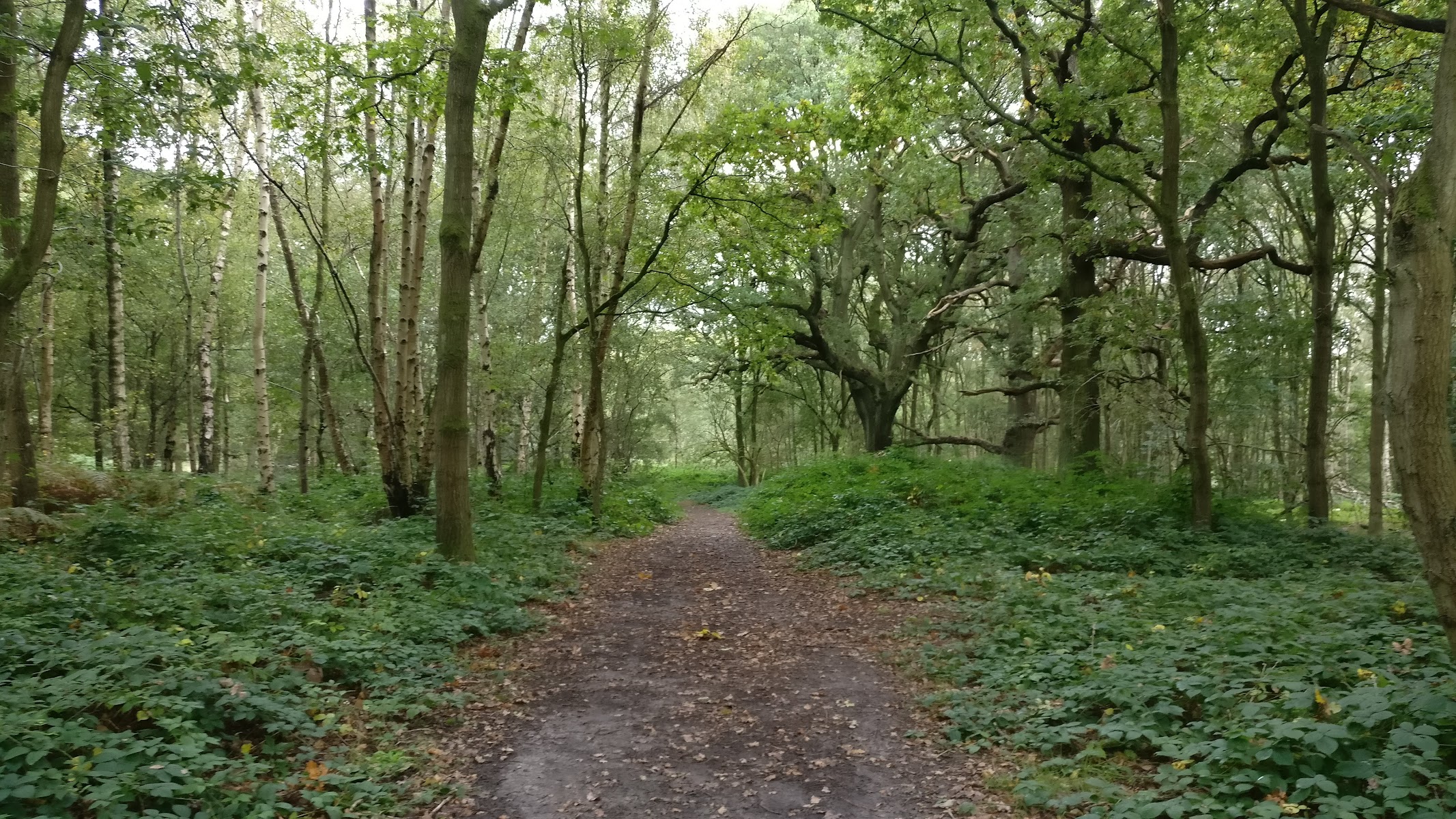 Stanmore Country Park
