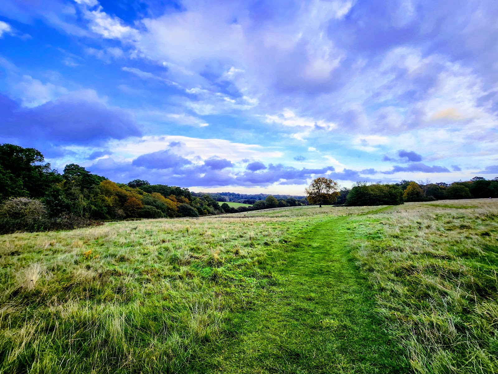 Trent Park
