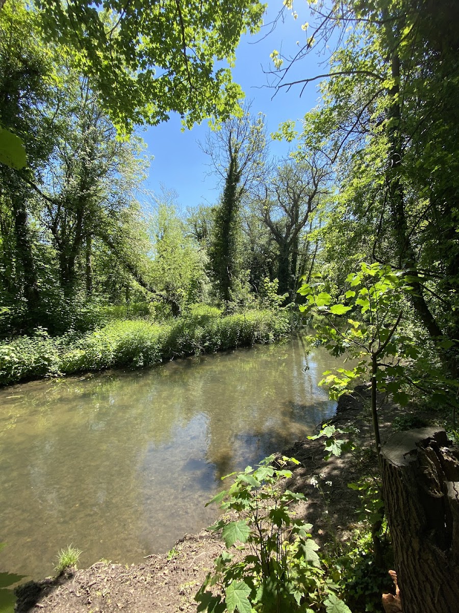 Lullingstone Country Park