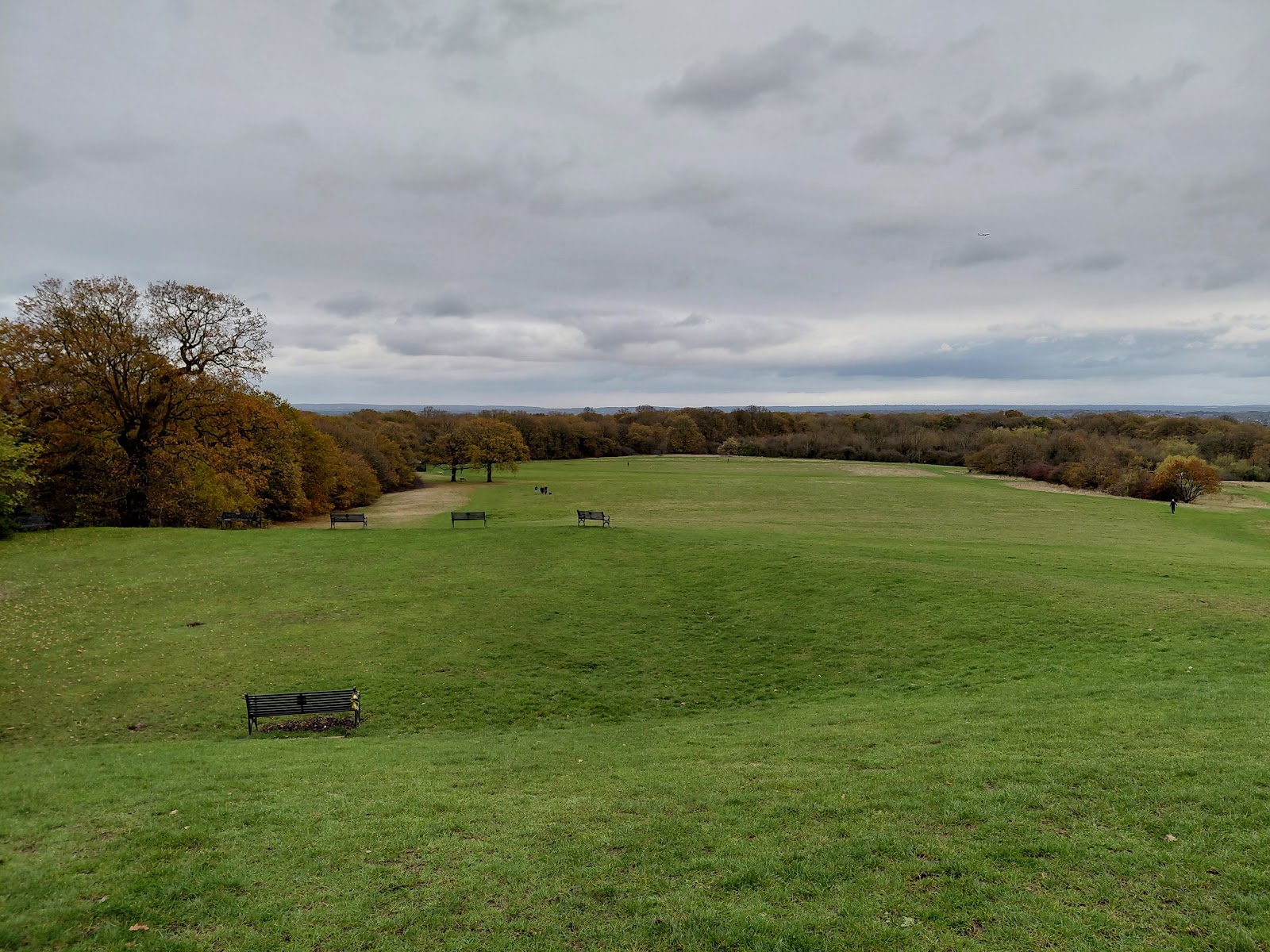Oxleas Meadows