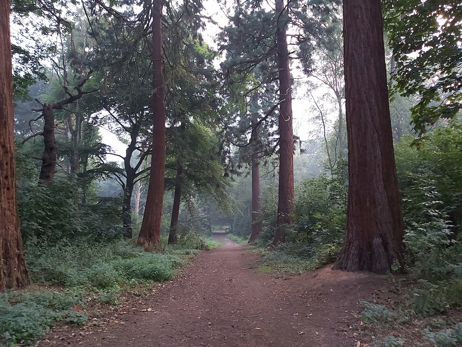 Havering Country Park