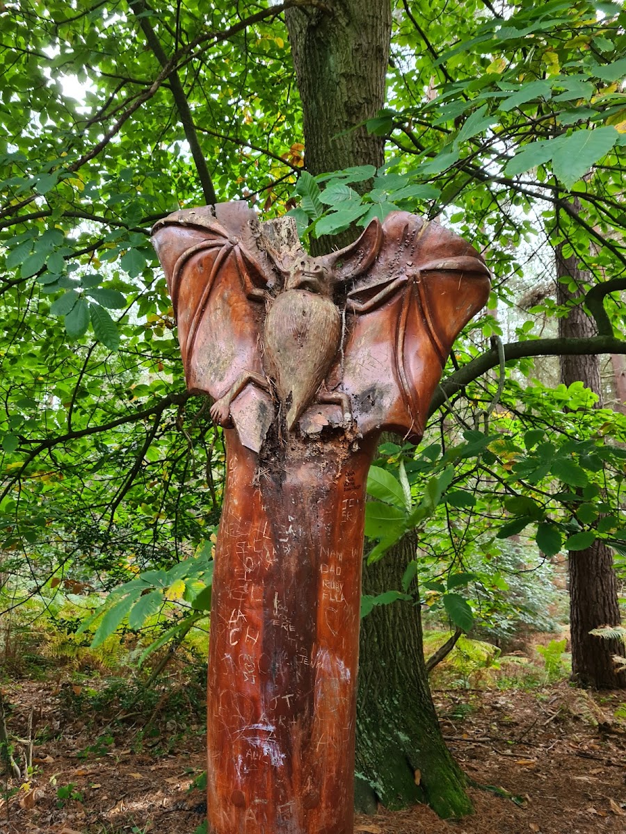 Chopwell Woodland Park - Forestry England