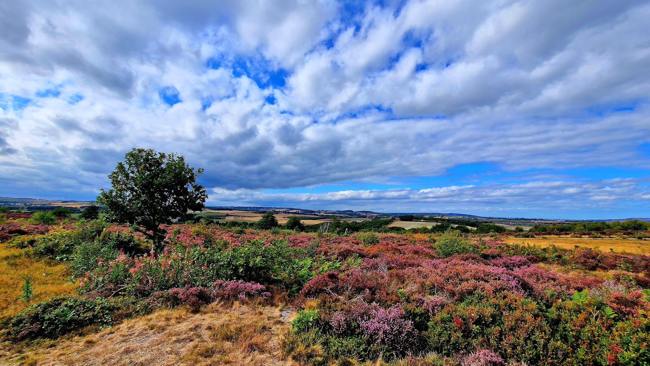 Waldridge Fell Country Park