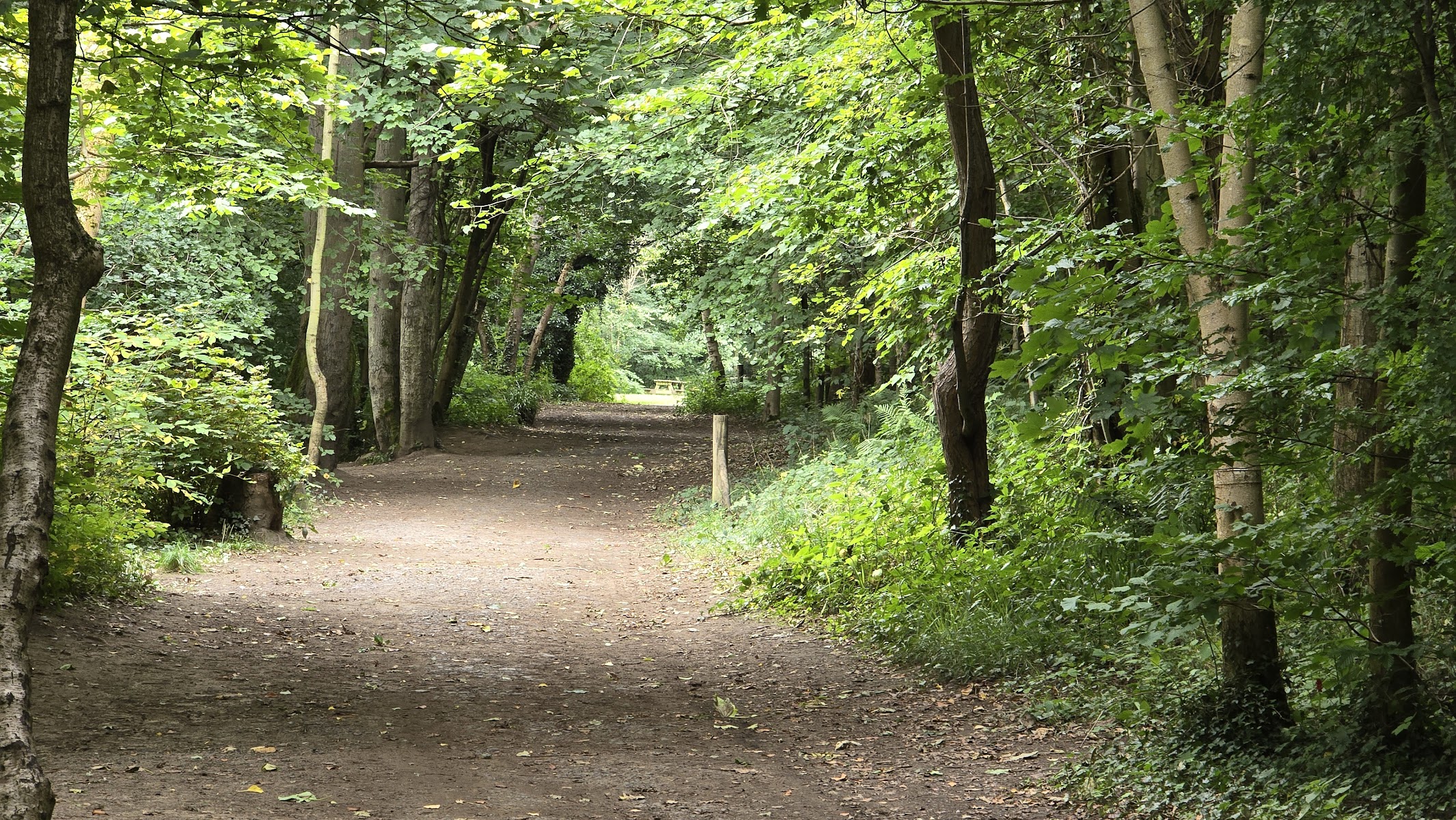 Plessey Woods Country Park