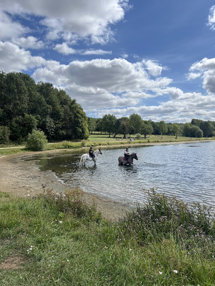 Hetton Lyons Country Park