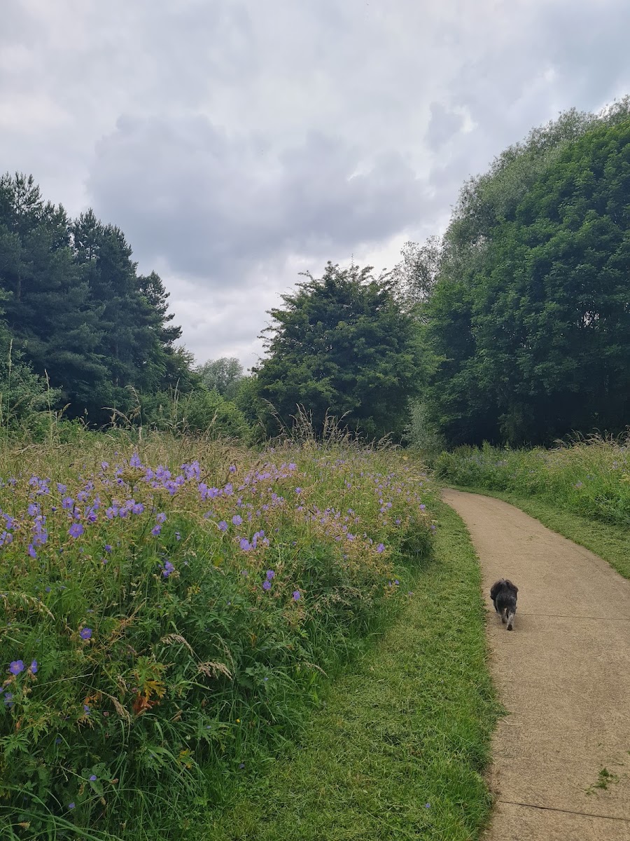 Rockwell Local Nature Reserve