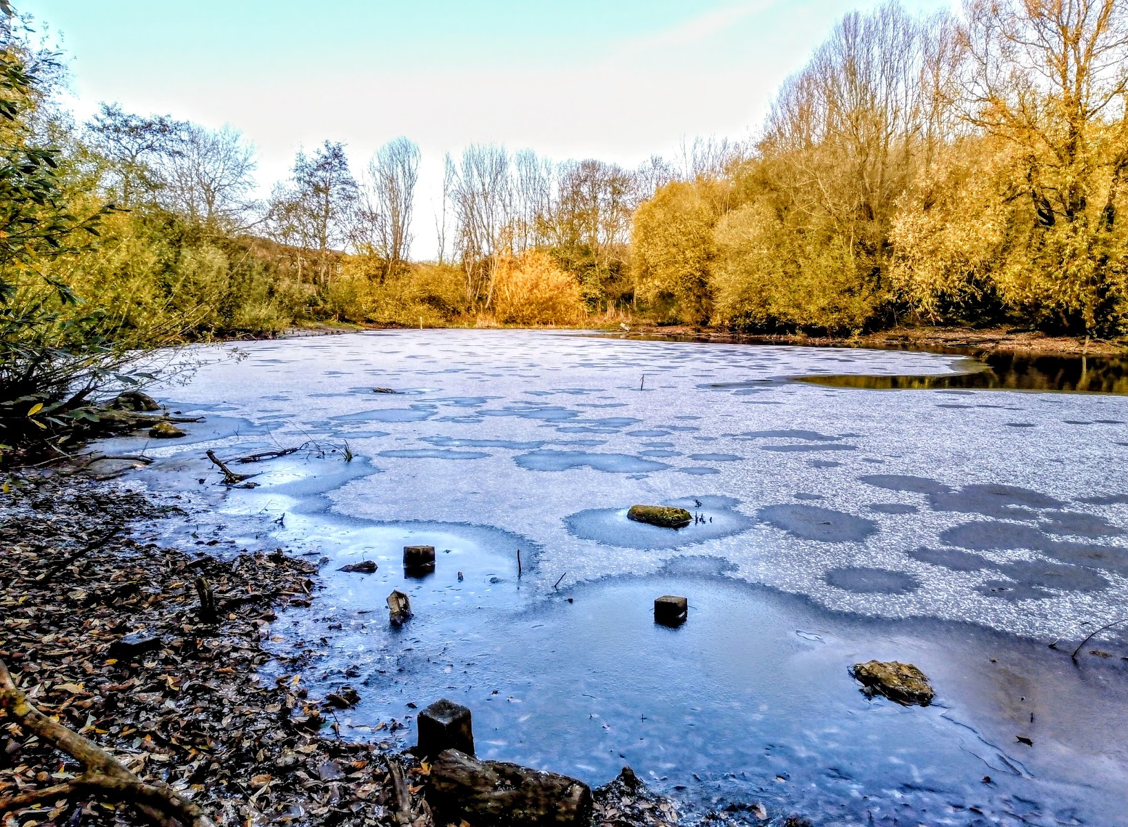 Brinkburn Pond Nature Reserve