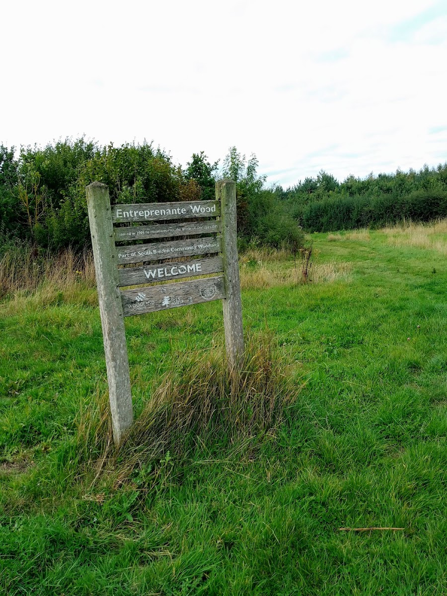 Entreprenante Wood