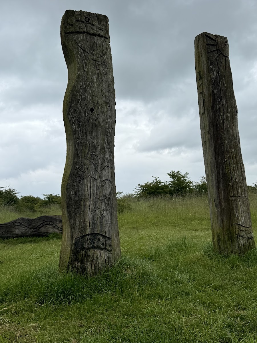 Viridor Wood