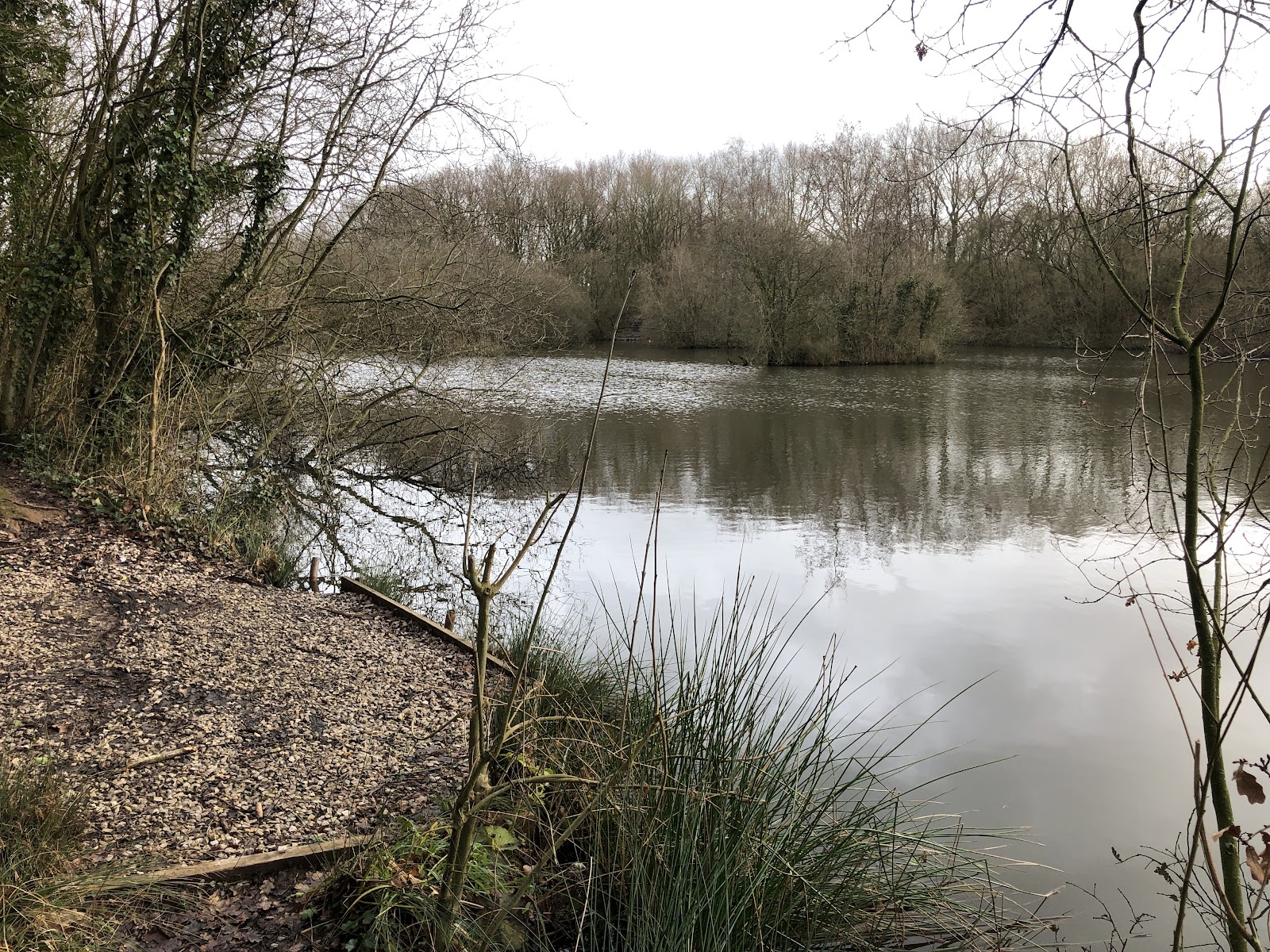 Rixton Clay Pits