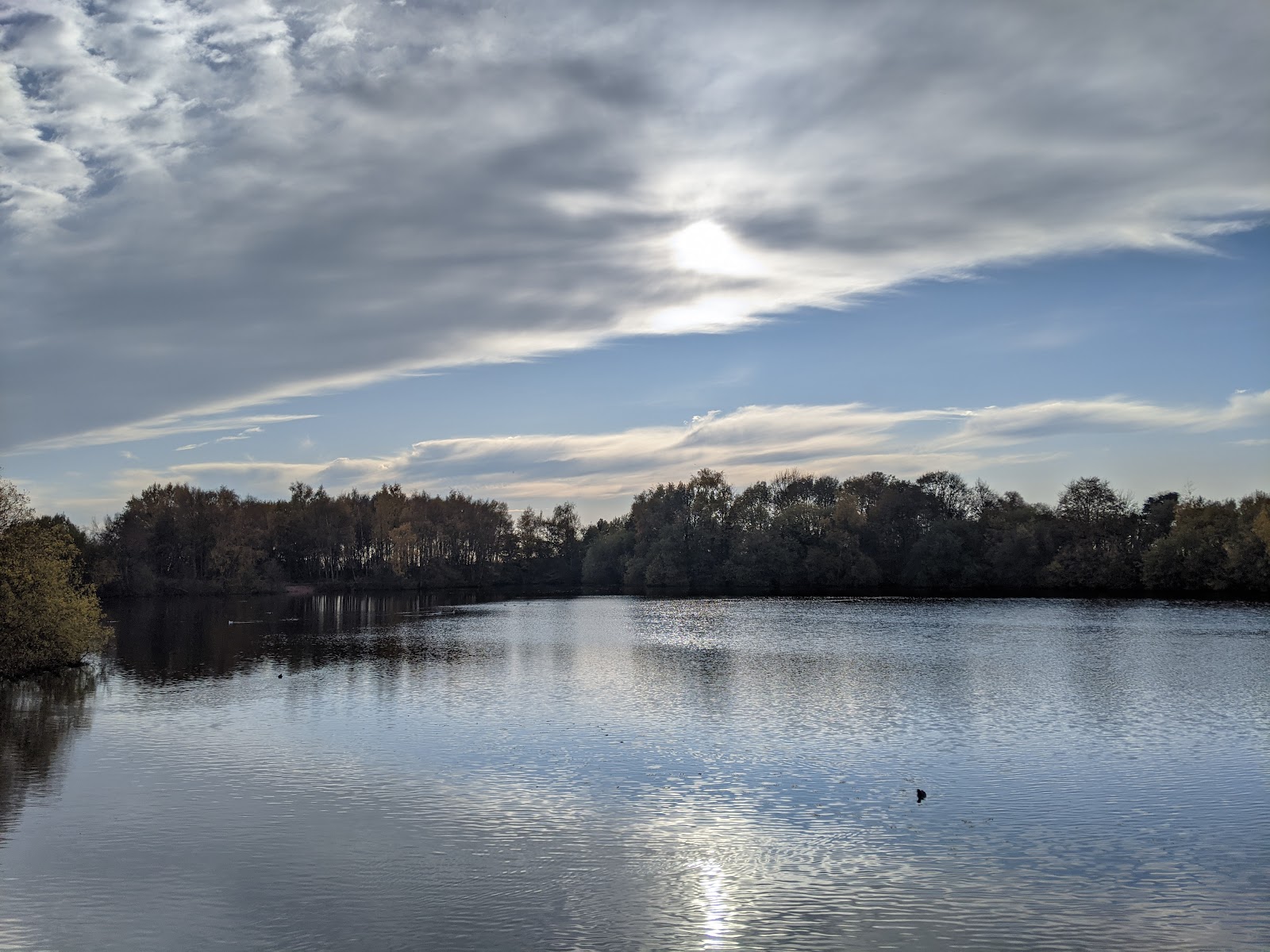 Whitley Nature Reserve