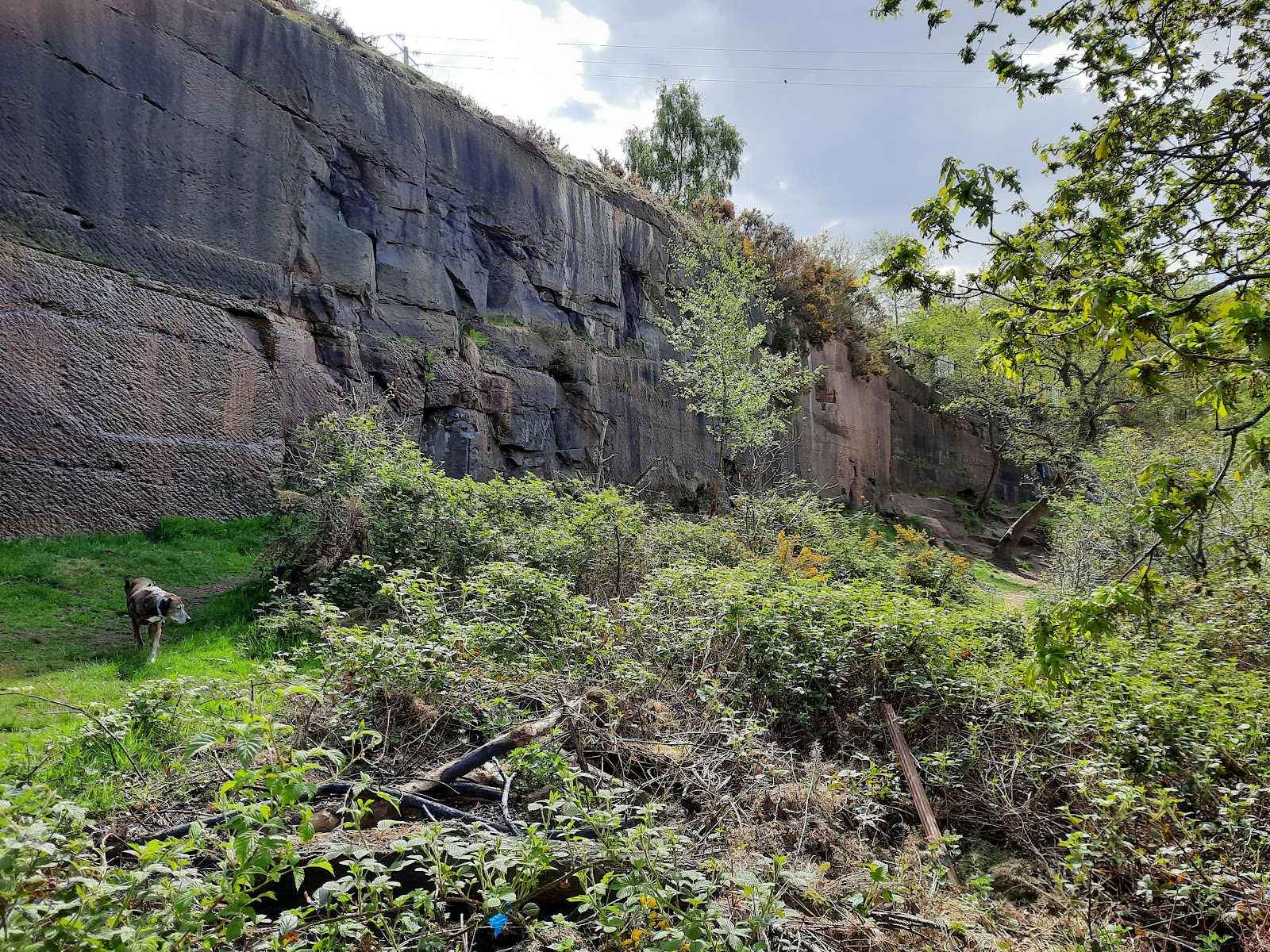 Pex Hill Country Park