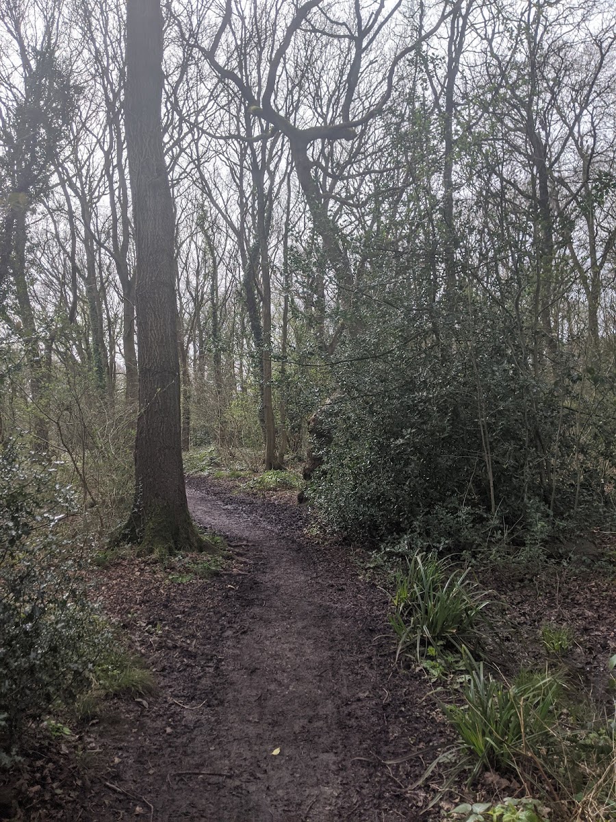 Stanney Woods Country Park