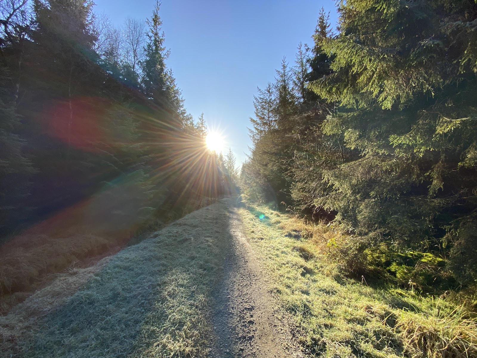 Gisburn Forest and Stocks - Forestry England