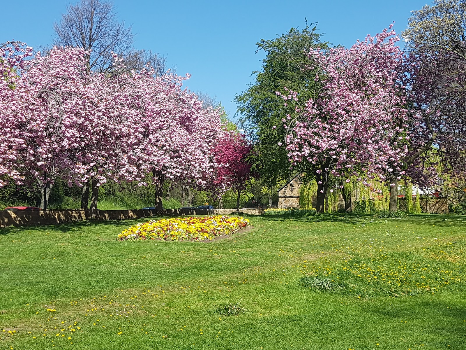 Springhead Park