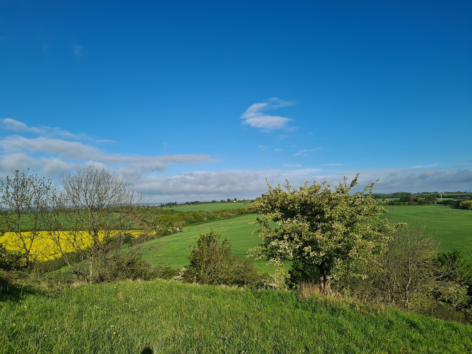 Townclose Hills Nature Reserve