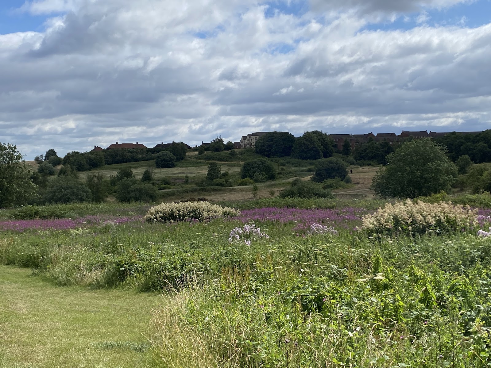 Manor Fields Park