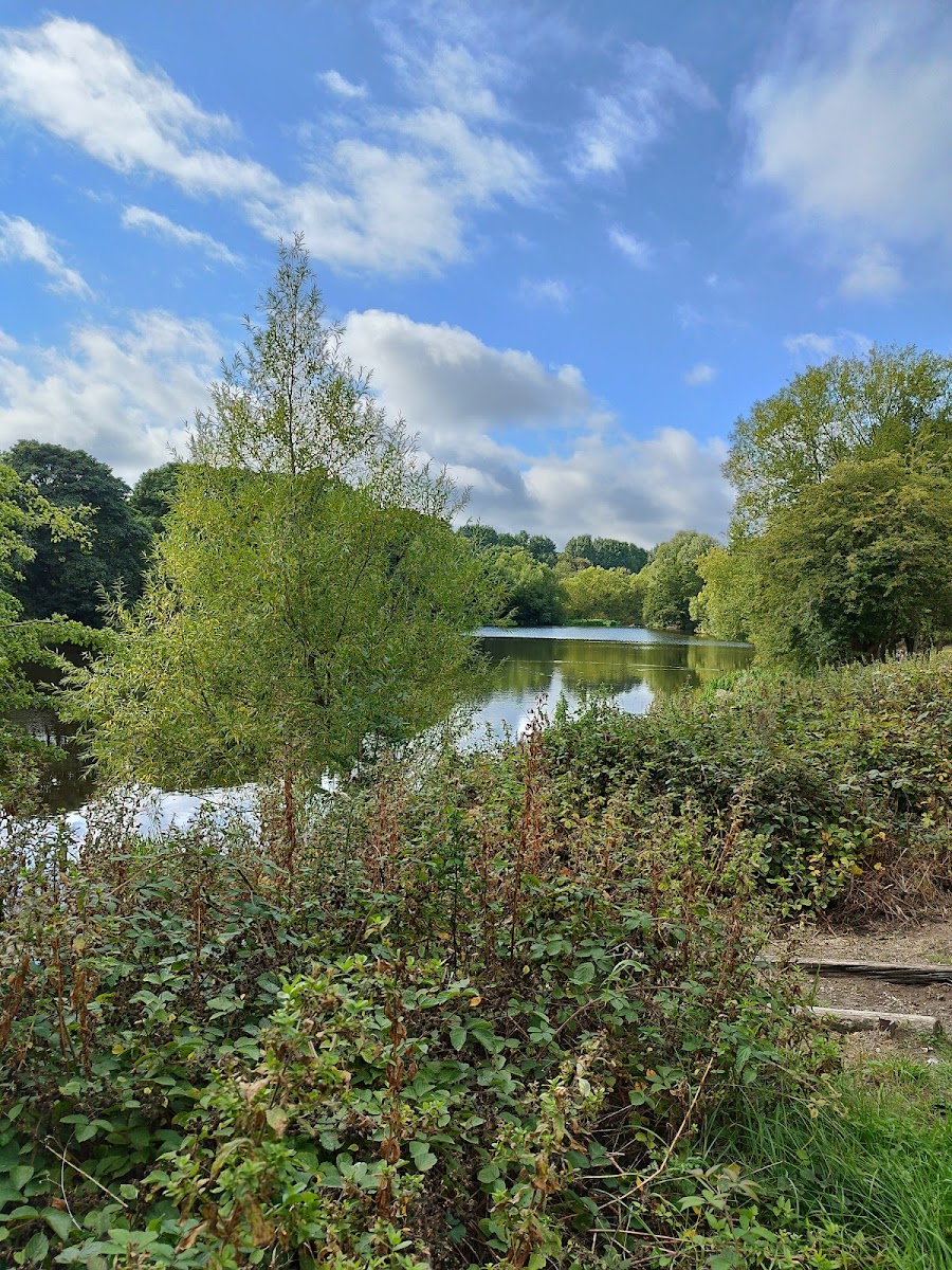 Westwood Country Park