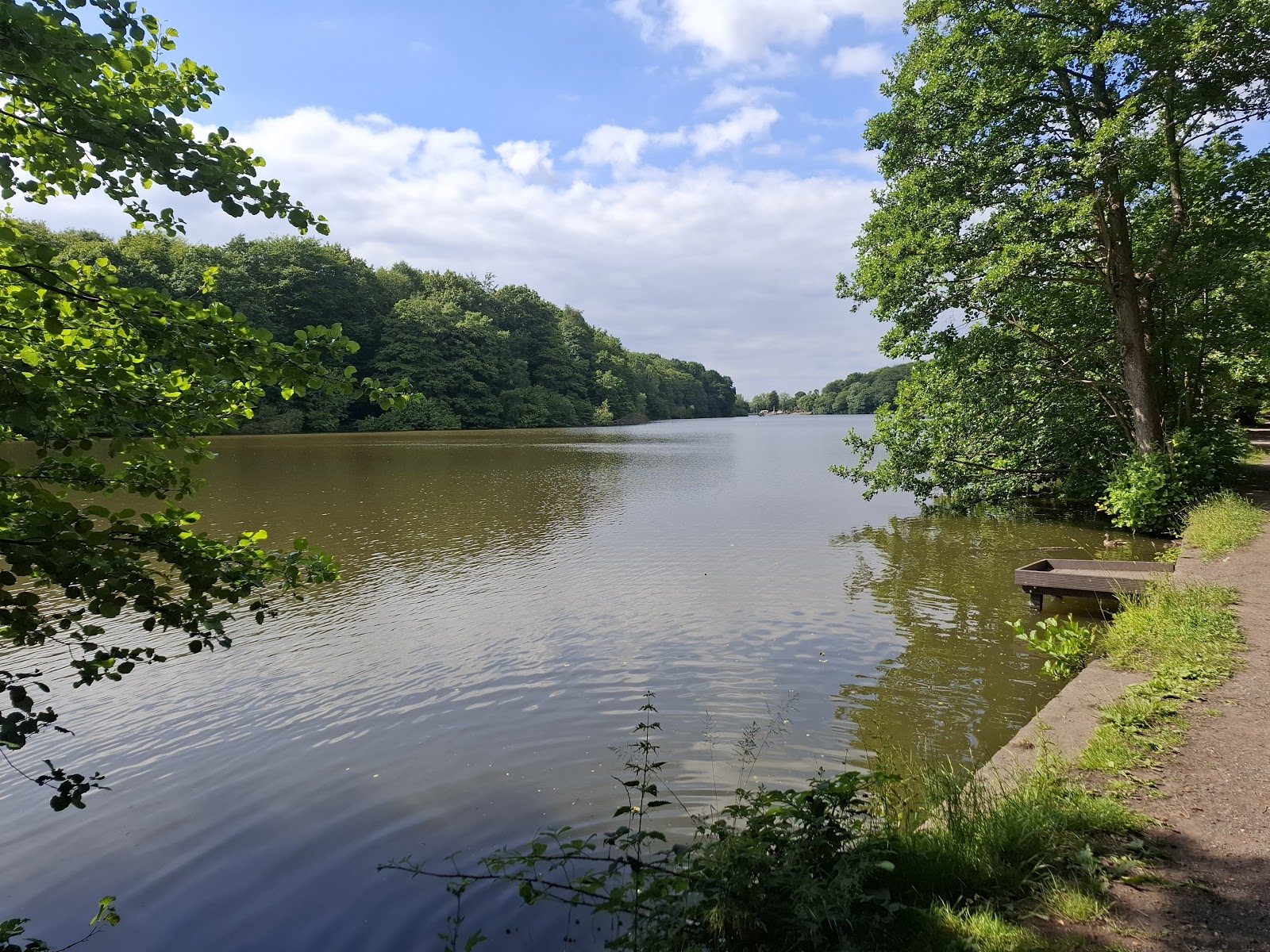 Newmillerdam Country Park
