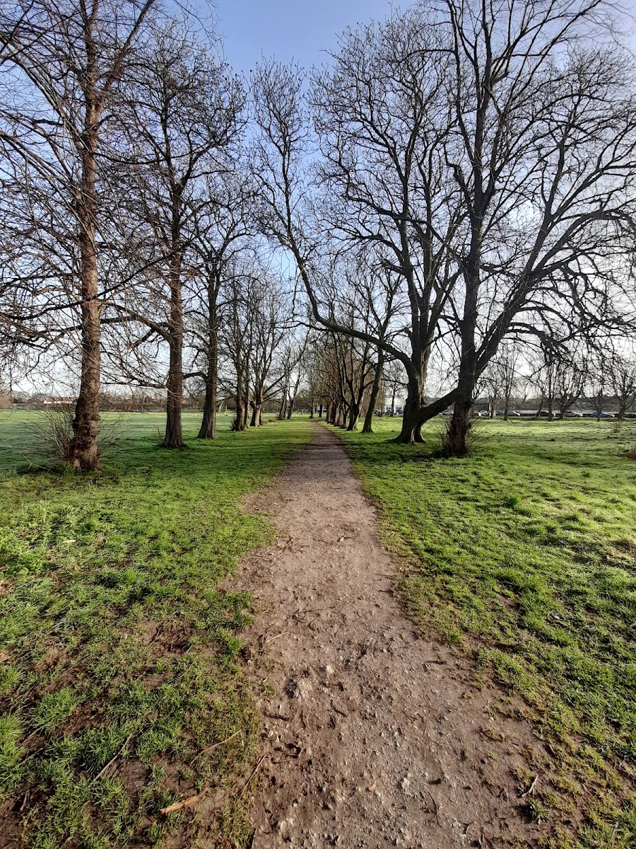 Castle Grove Park