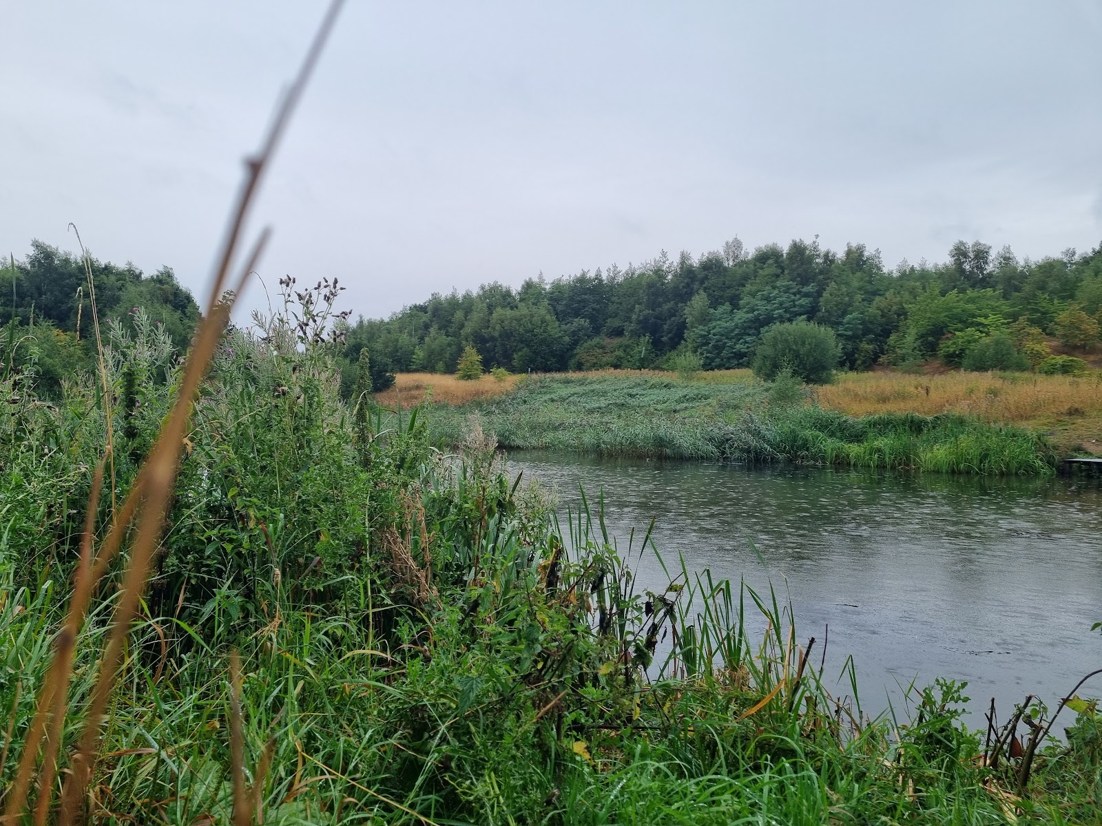 Fitzwilliam Country Park