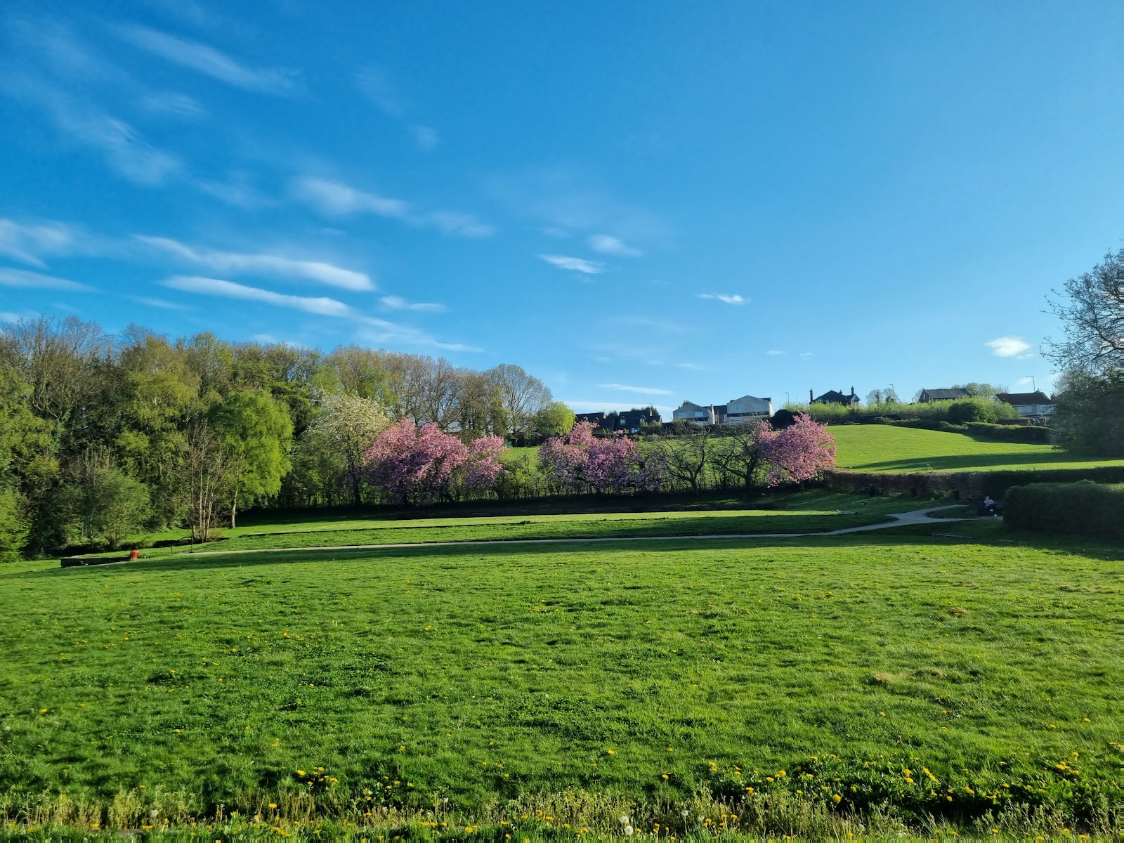 Bradgate Park