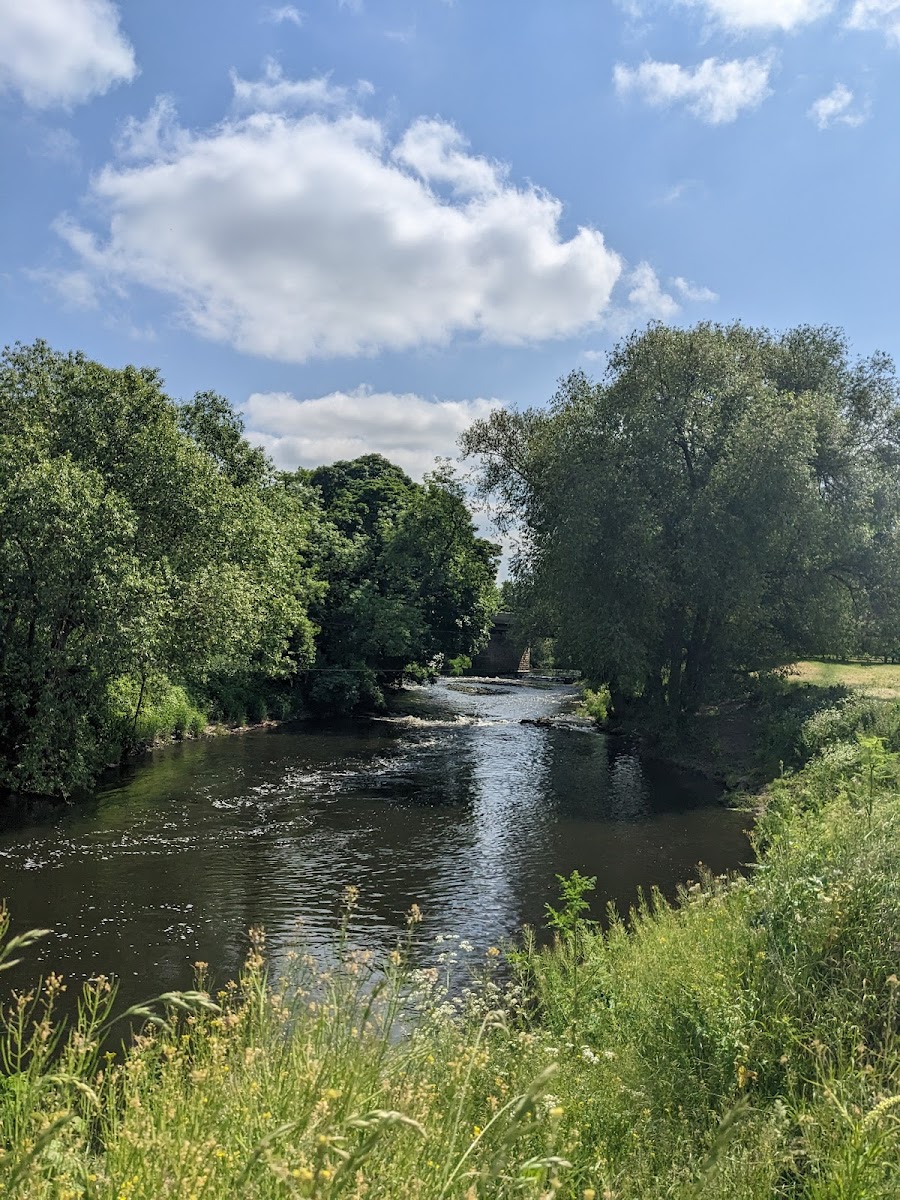 Kilnhurst Ings Nature Reserve