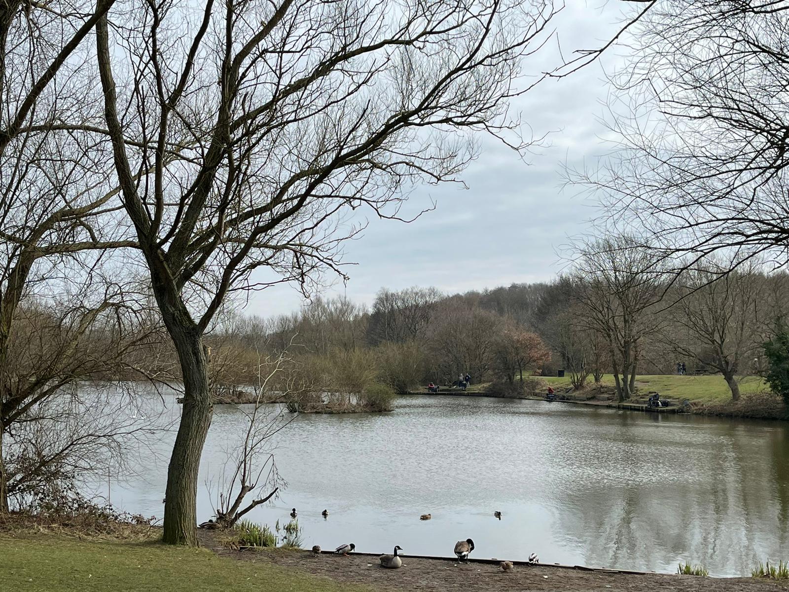 Dearne Valley Park
