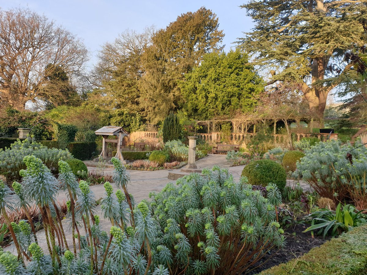 The Rookery
