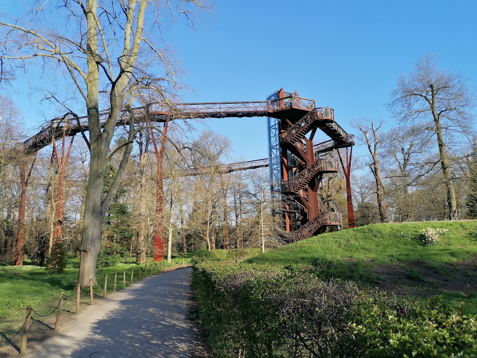 Treetop Walkway