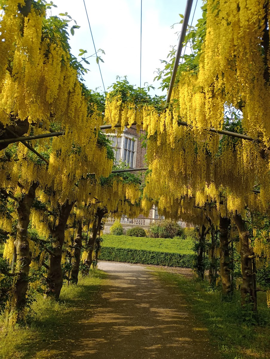 Temple Newsam Gardens