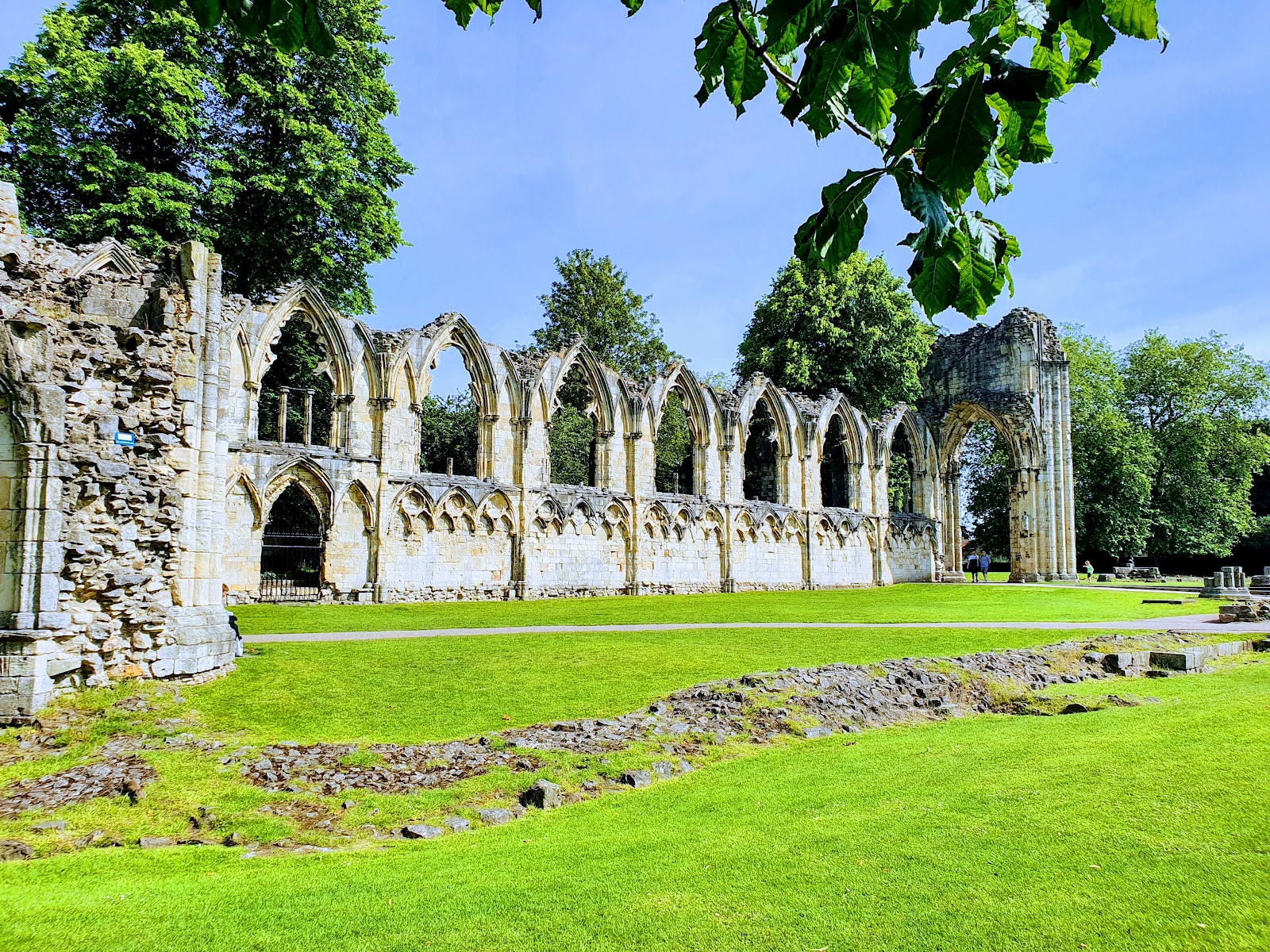 Museum Gardens
