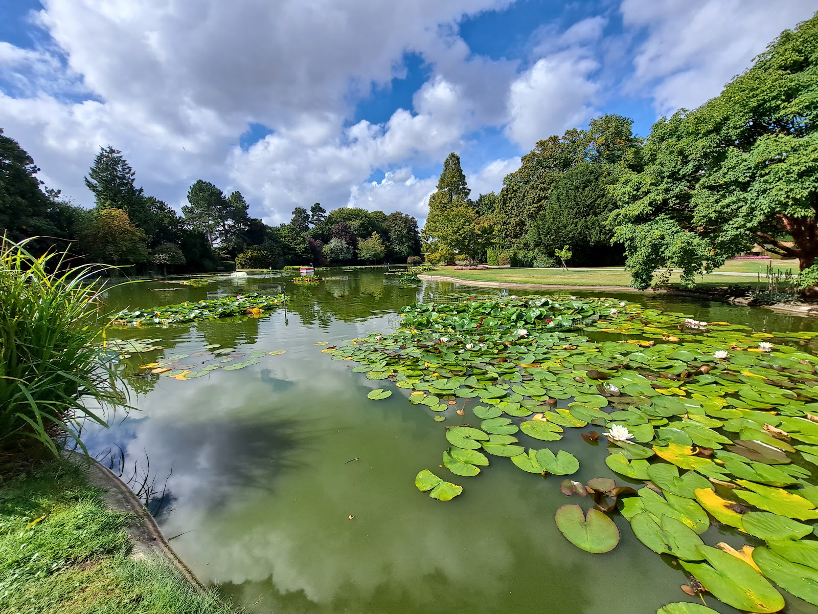 Burnby Hall Gardens