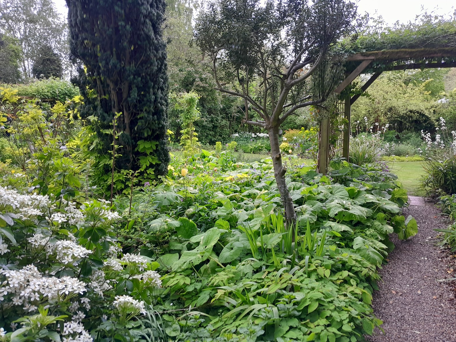 Stillingfleet Lodge Gardens