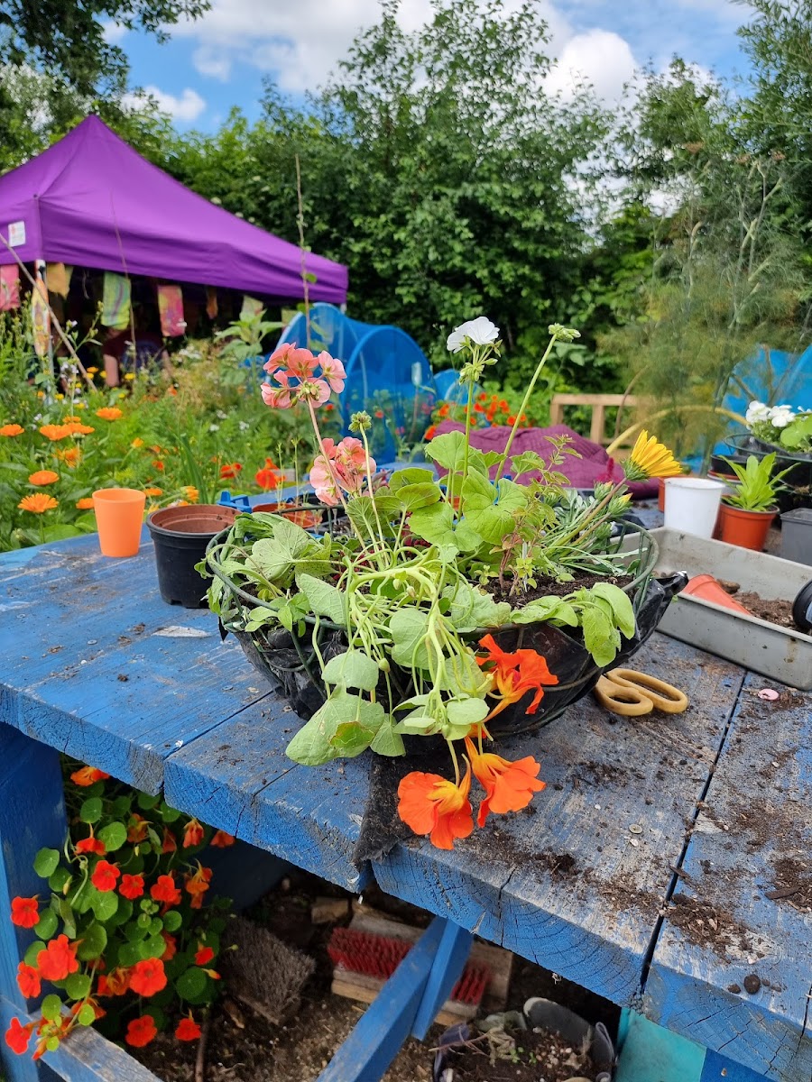 Windmill Community Gardens