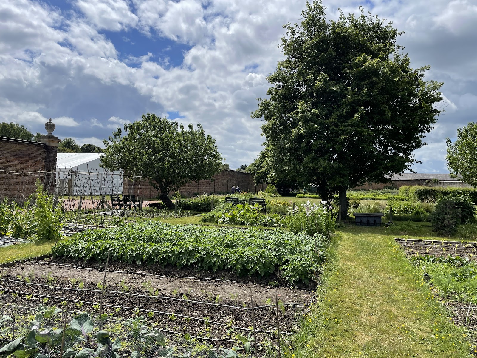 Luton Hoo Walled Garden