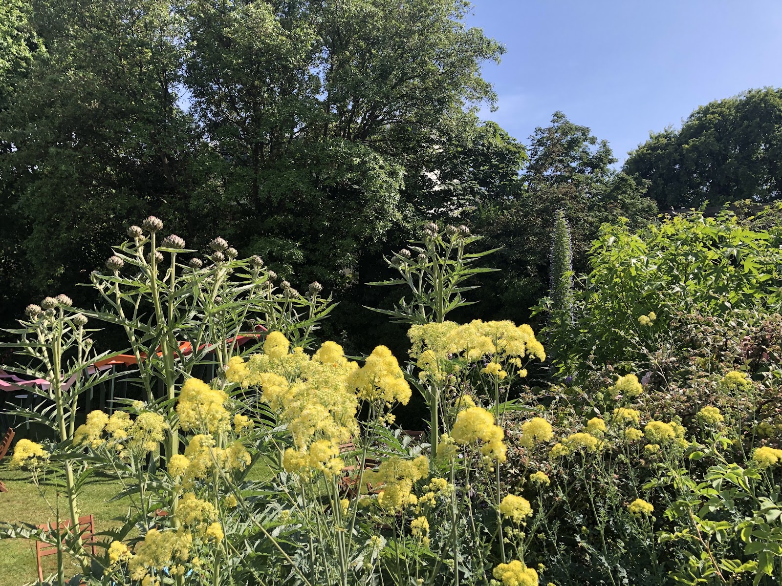 The Secret Garden, Antony Dale Trust