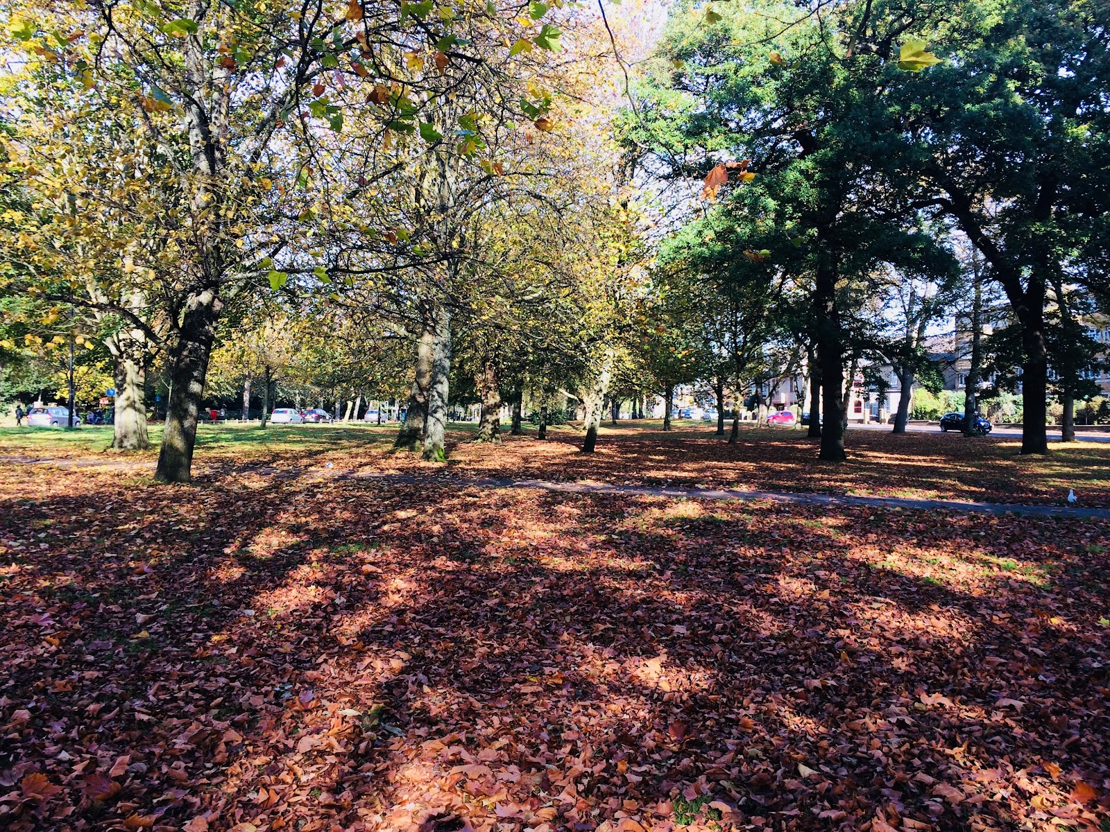 Asylum Green