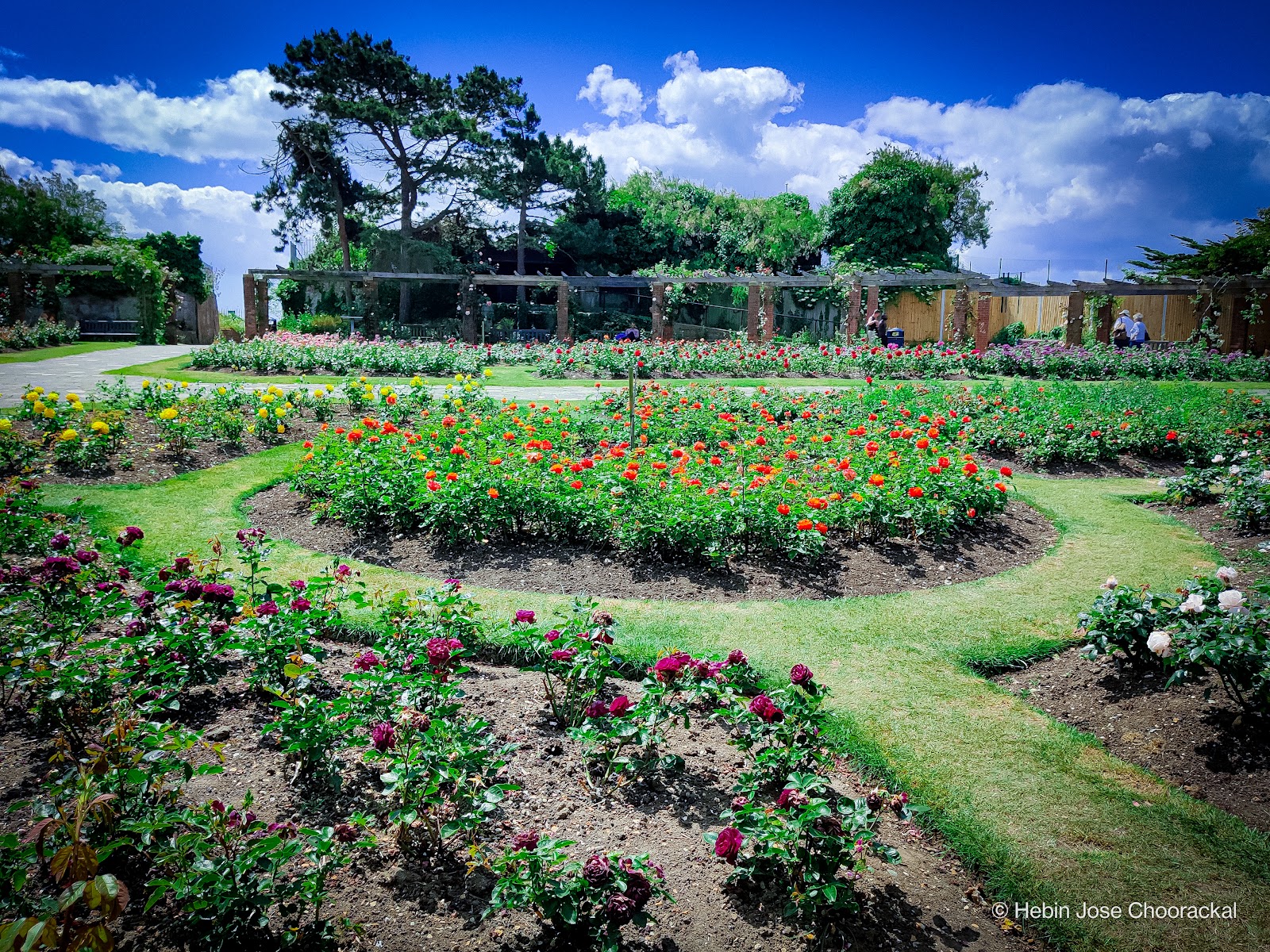 The Rose Gardens