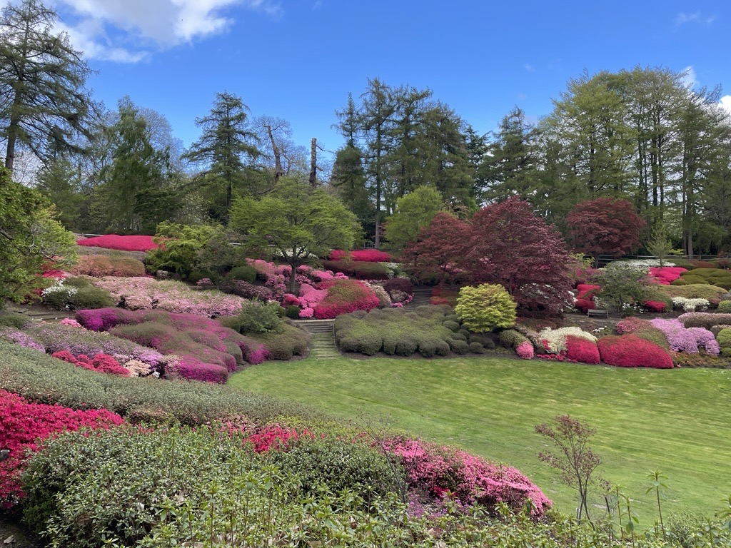 The Valley Gardens