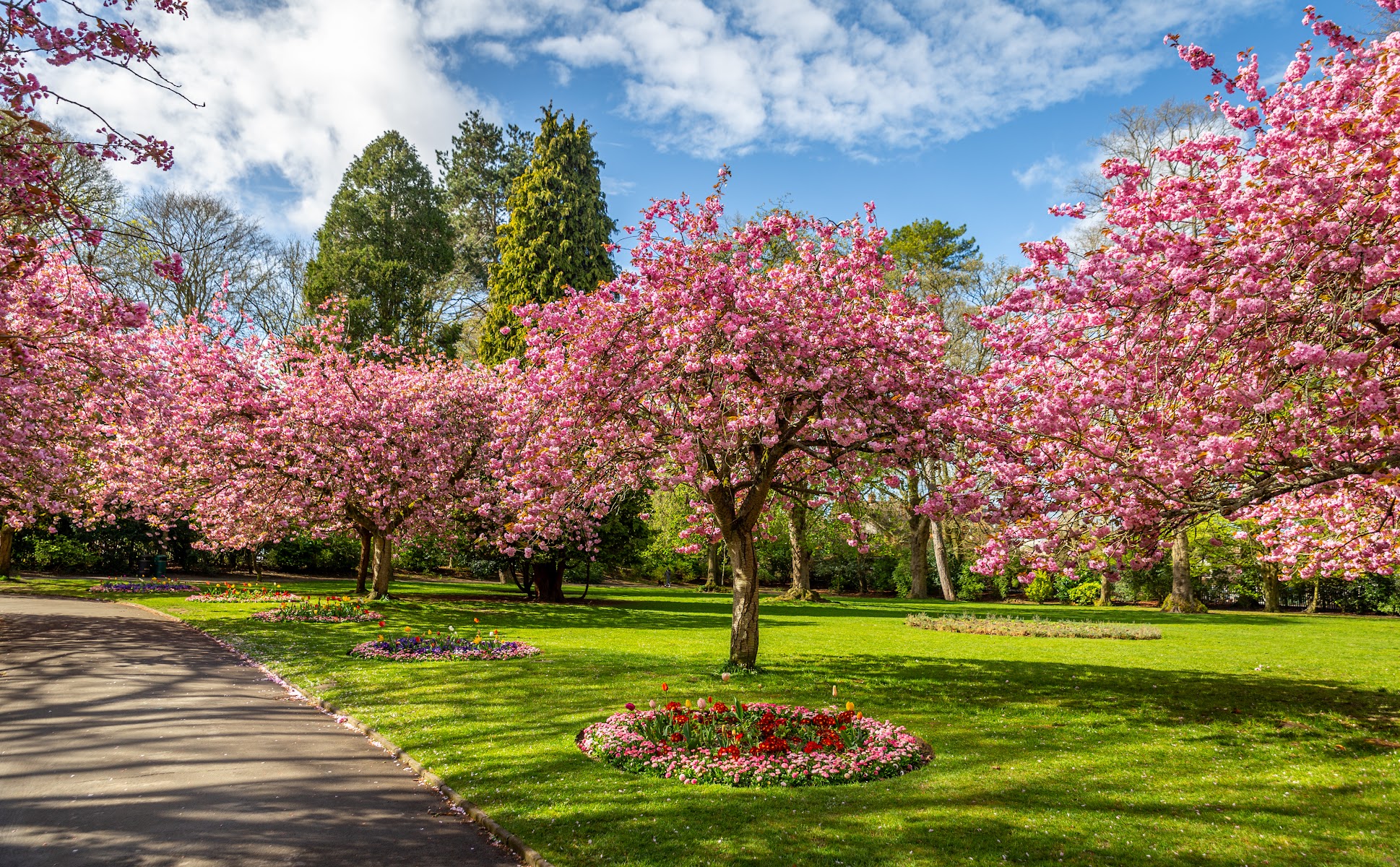 Town Gardens